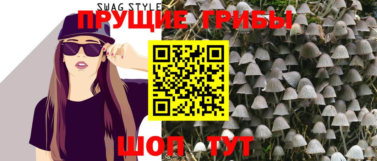 Псилоцибиновые грибы Cubensis  Вход с VPN  Нижнеудинск  Галлюциногенные грибы мицелий 