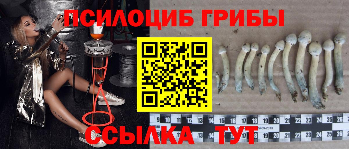 Псилоцибиновые грибы прущие грибы Нижнеудинск